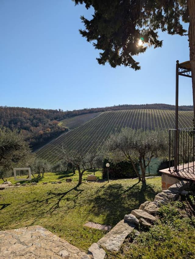 Photo 4 by Kalakota Shravan Kumar R. about hiring a Toyota C-HR at Florence Airport (01/01/25)