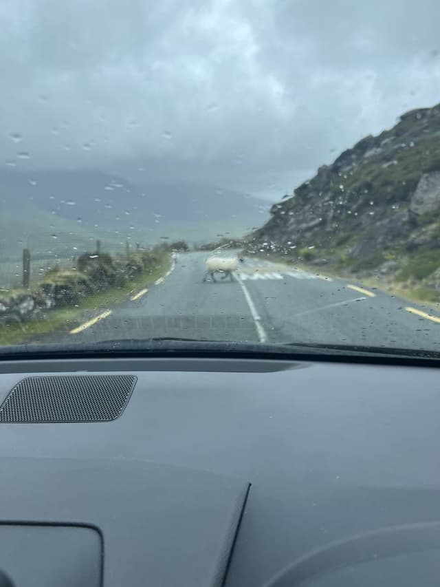 Photo 3 by Victoria D. (7/8/24)