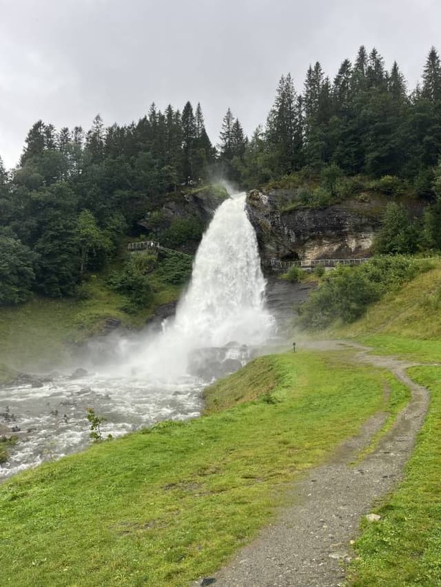 Photo 3 by Siddhant K. (8/11/25)