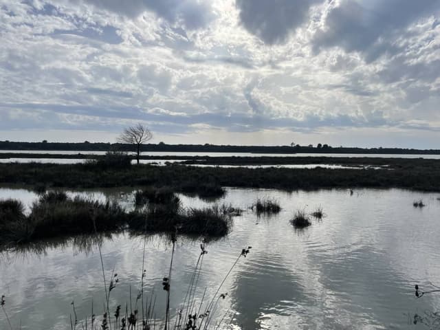 Foto door Mirjam B. (5-5-24)