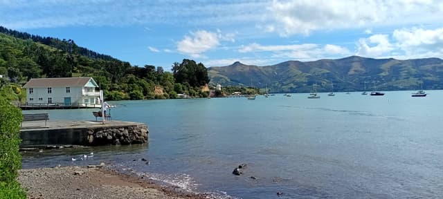 Photo 3 by suzanne C. (11/11/25)