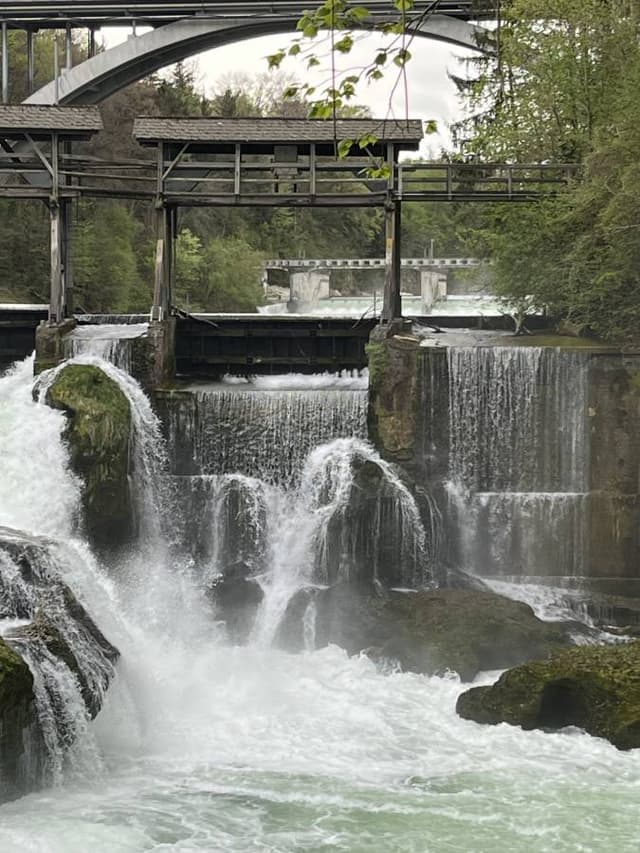 Photo 5 by Orly E. (4/15/24)