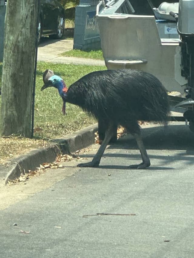 Photo 5 by Lilian M. (11/5/23)