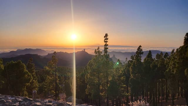 Photo 2 by Nathan K. (9/3/24)