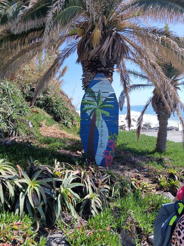 Photo 7 by Monica N. (2/24/25)