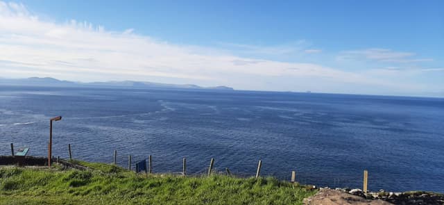 Photo 1 by Marion B. (5/10/24)