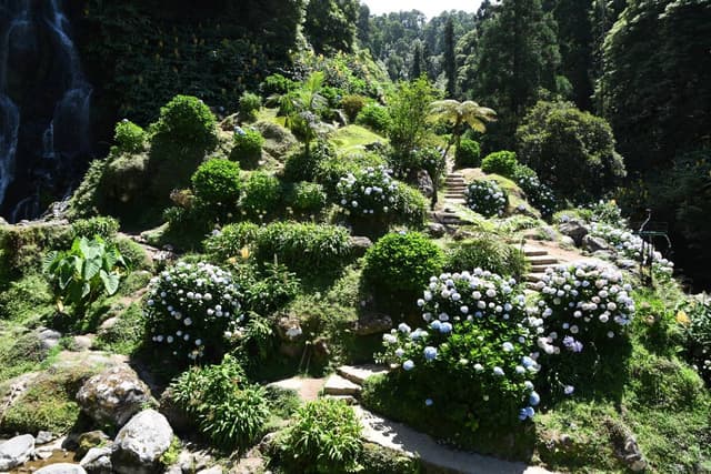 Photo 2 by Roman M. (8/21/24)