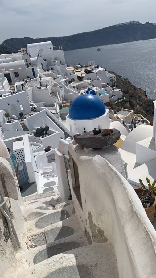 Photo 2 by Patricia R. (3/25/25)