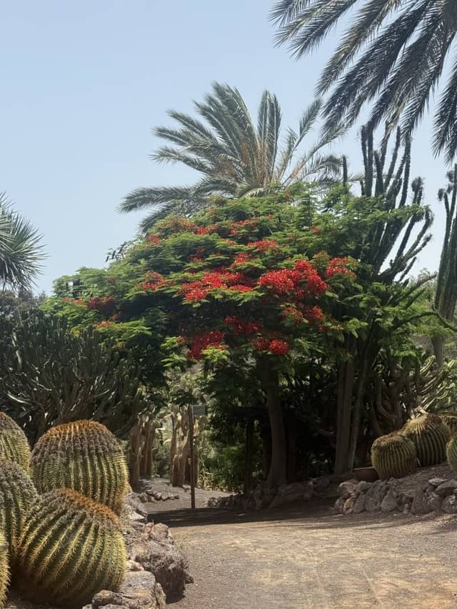 Photo 3 by Sergey K. (6/20/25)