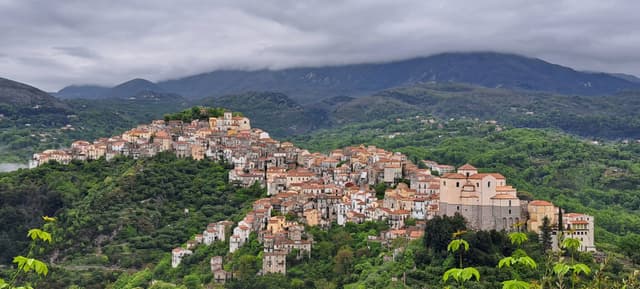 Photo 1 by Daniel C. about hiring a Fiat Panda in Naples (14/05/24)