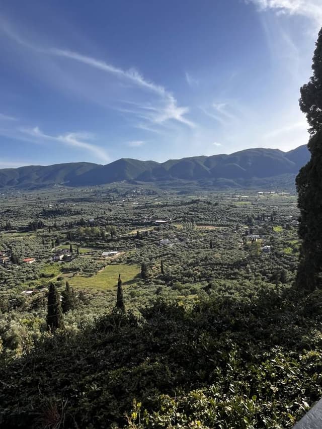 Photo 4 by Richard H. (5/13/24)