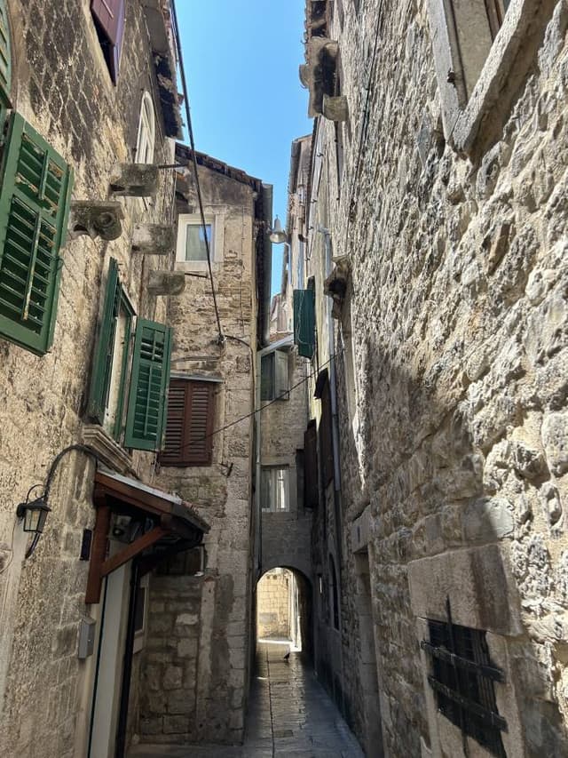 Photo 2 by Elvira M. (8/1/24)