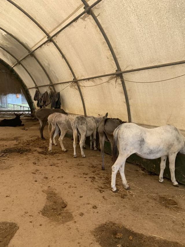 Photo 2 by Peter B. about hiring a Volkswagen Polo in Greece (26/09/24)