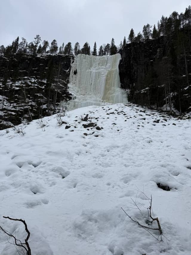 Photo 3 by YICHOU H. (4/6/26)