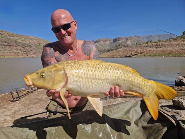 Photo 2 by Brian P. about hiring a Toyota Aygo in Gran Canaria (03.03.24)