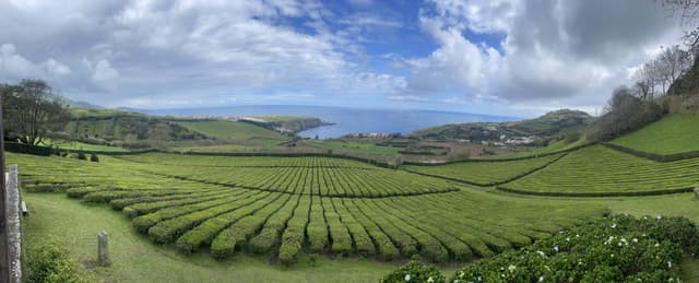 Photo 2 by Fernando P. (5/19/25)