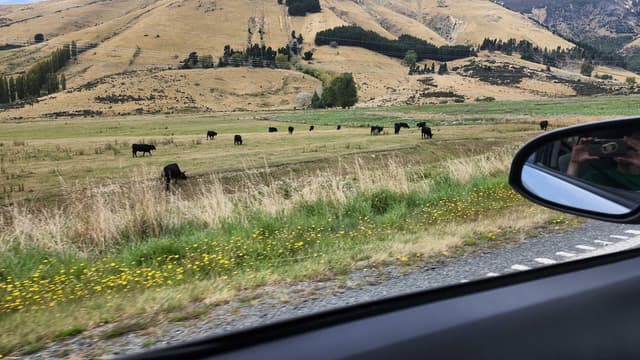 (25/3/8)のレンタルについて、ETSUKO O. による写真 2