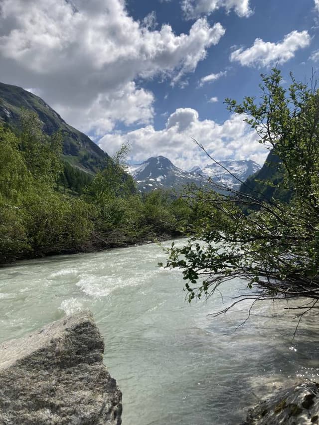 Photo 3 by Ester K. (6/16/23)