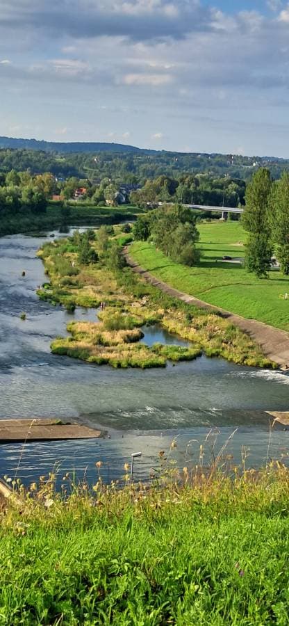 Photo 2 by Laura S. (8/13/24)