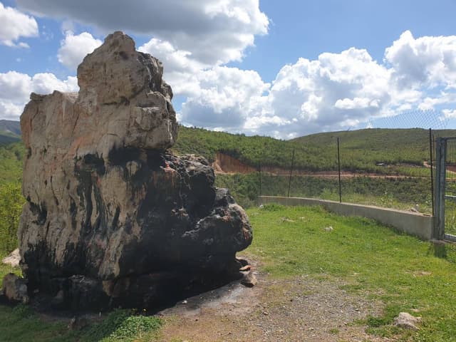 Foto 8 van Arben B. (26-4-25)