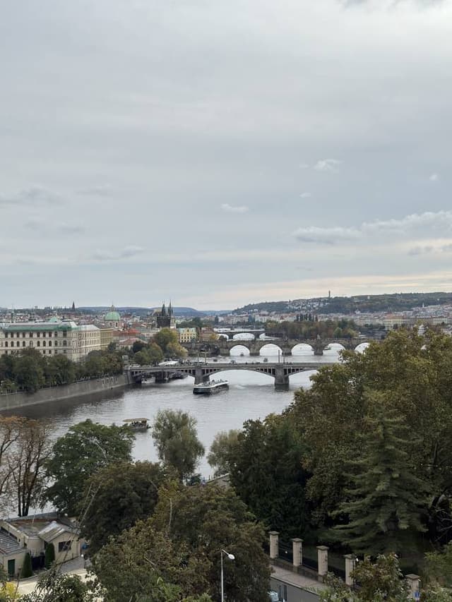 Photo 6 by Mohammed A. (10/17/24)