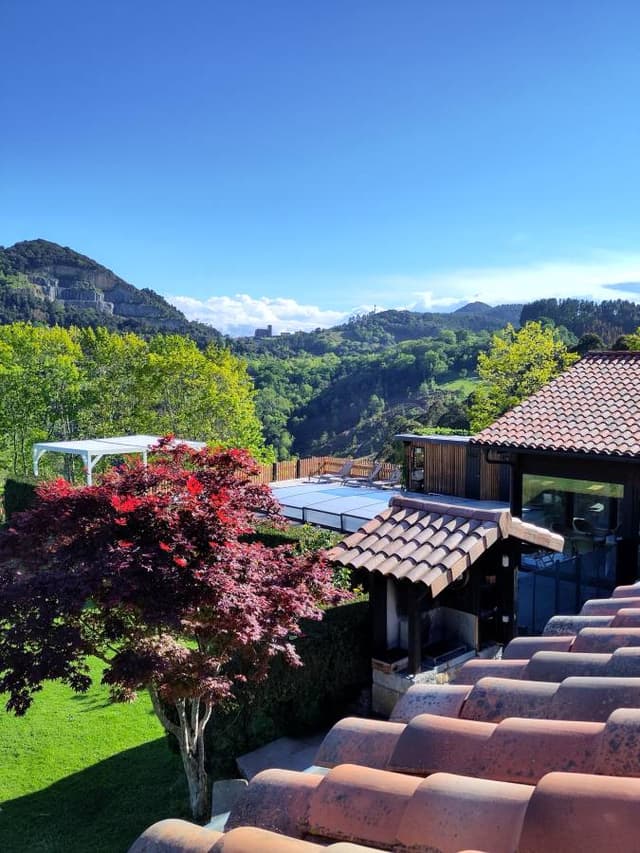 Photo 1 by Lyall S. (5/5/24)