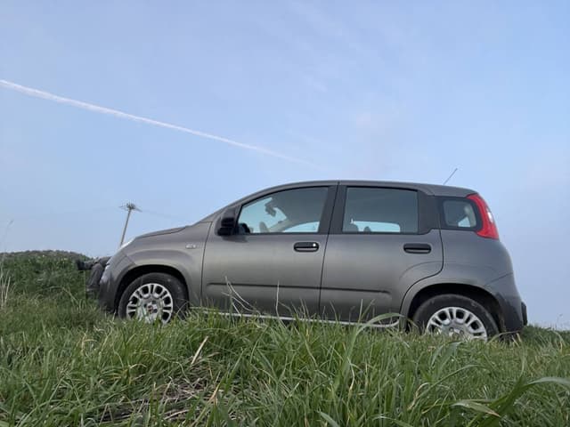 Photo 4 by Robert P. (4/2/24)