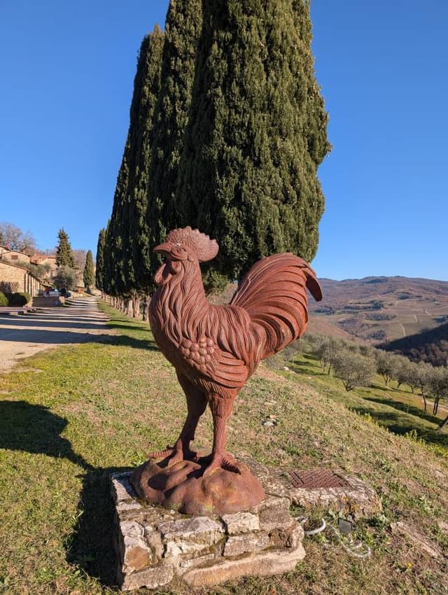 Photo 5 by Kalakota Shravan Kumar R. about hiring a Toyota C-HR at Florence Airport (01/01/25)