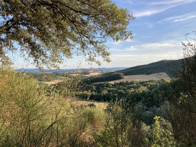 Photo 2 by Michael M. about hiring a Opel Vivaro in Pisa (28/07/22)