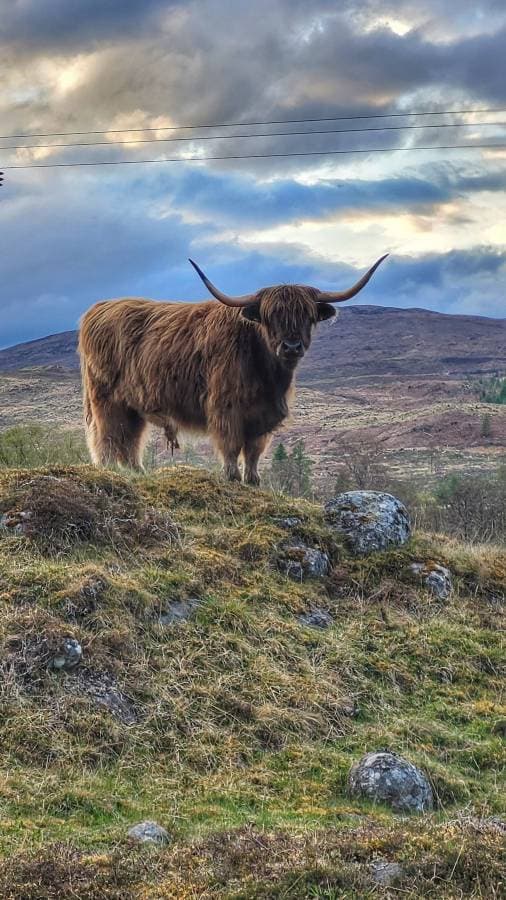 Foto 4 de Angela T. (17/5/23)