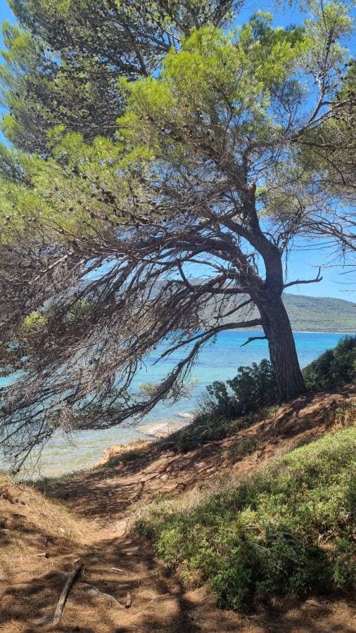 Foto 1 di Mauro C. sul noleggio di una Fiat Panda ad Alghero (16/08/24)