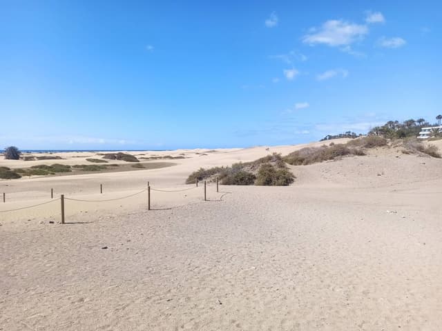 Photo 2 by Inaki A. (5/3/24)