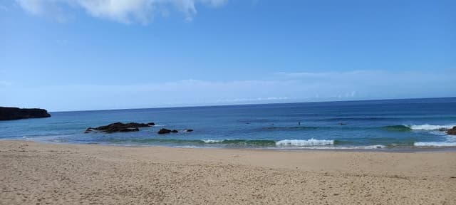 Foto 2 de Joao V. (07/11/24)