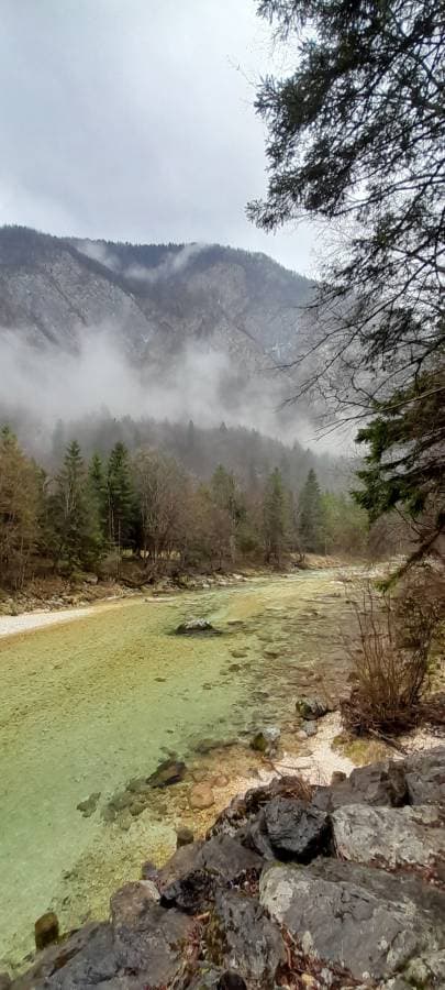 Photo 15 by Kevin B. (3/13/26)