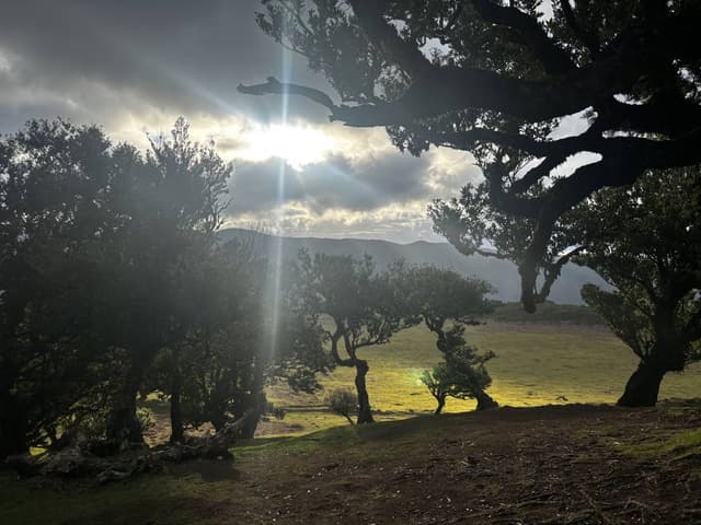 Photo 3 by Adam C. (2/17/25)