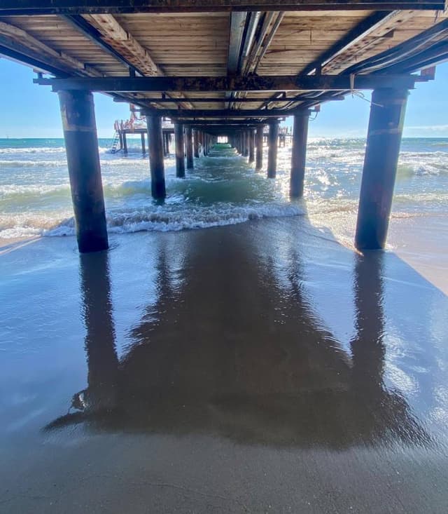 Photo 4 by Rianne K. (10/20/25)