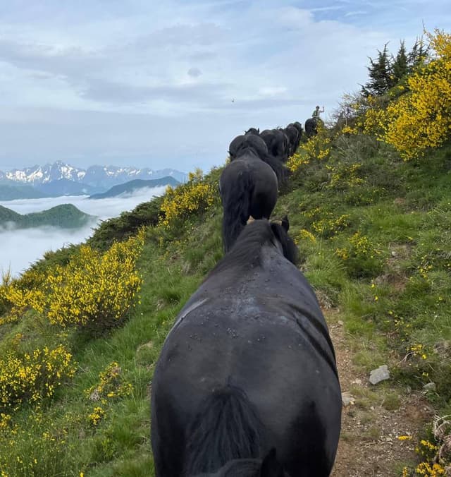 Photo by Liduina B. (6/14/24)