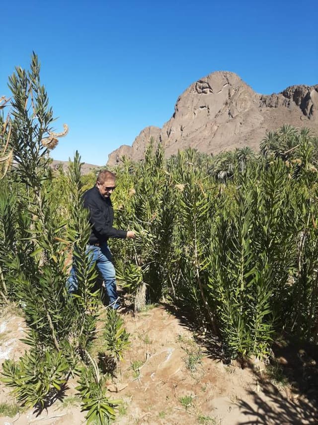 Photo 6 par ABDELAZIZ H. (12/02/25)