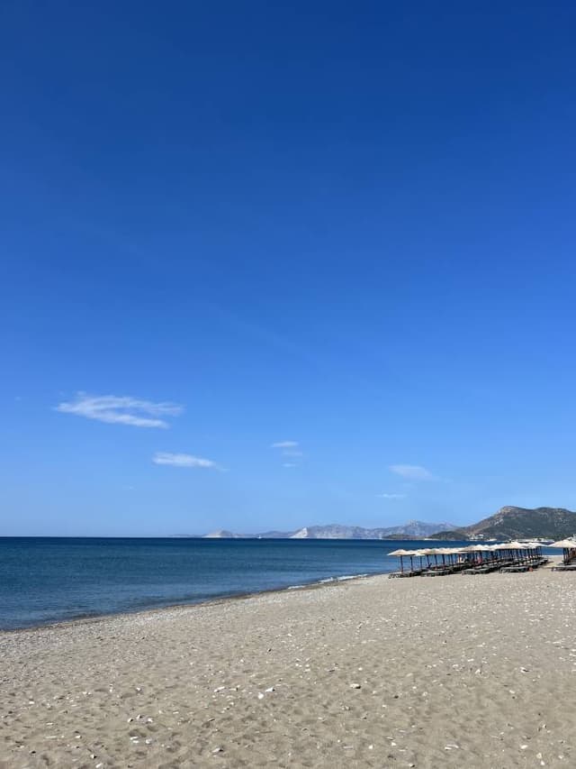 Photo 2 by John D. (7/8/23)