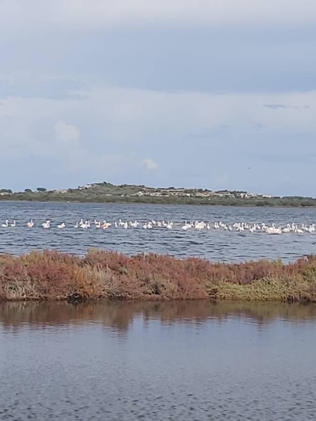 Foto 4 di roberta B. (13/10/25)