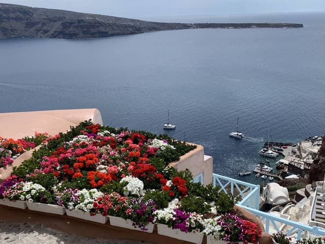 Photo 5 by Dan O. (5/17/24)