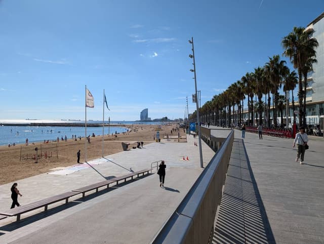 Photo 4 by Palavinnage M. (10/28/25)