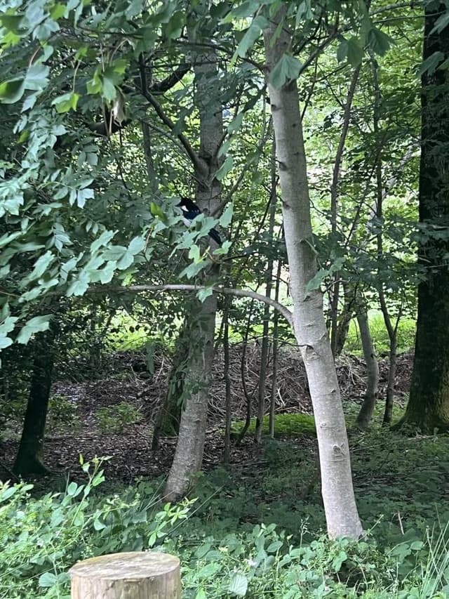 Photo 4 by Victoria D. (7/8/24)