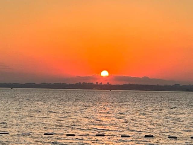 Photo 2 by dilek Y. (7/26/22)