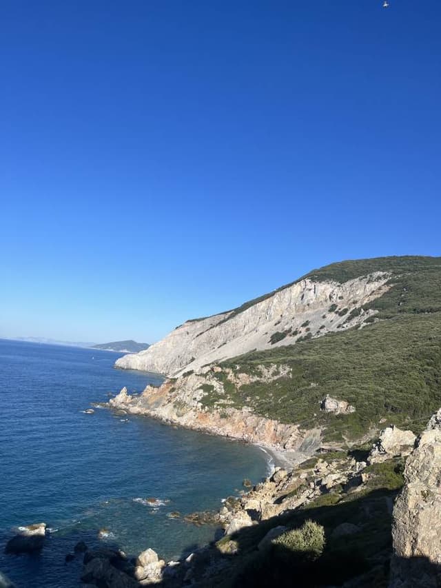 Photo 4 by Chance B. (7/26/22)