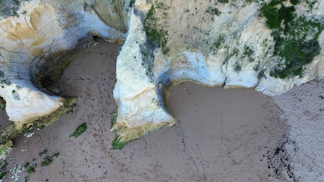 Photo 3 by Robert A. (4/5/26)