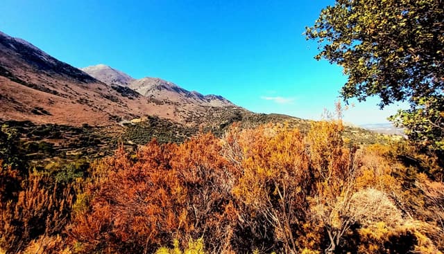 Photo 6 by LIYEN A. (10/30/24)