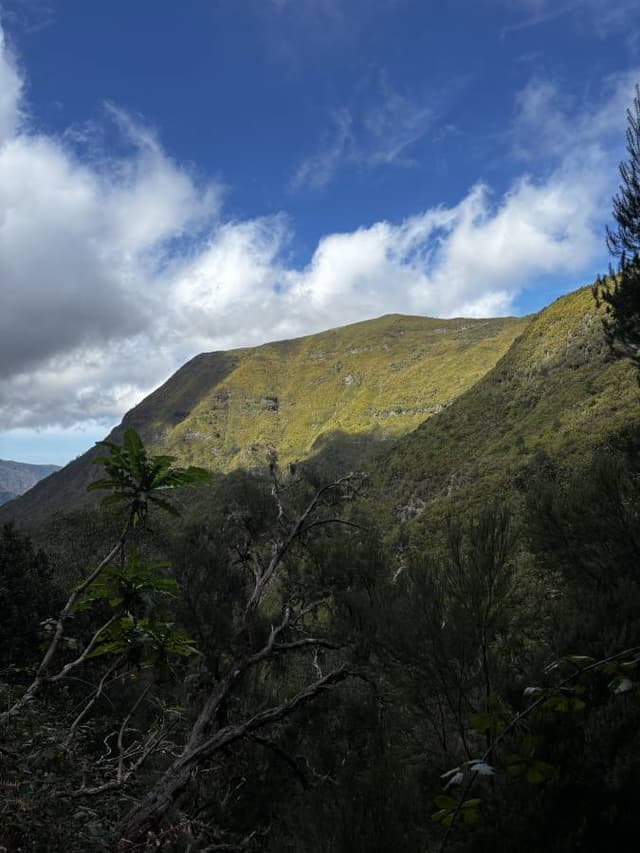 Photo 4 by Adam C. (2/17/25)