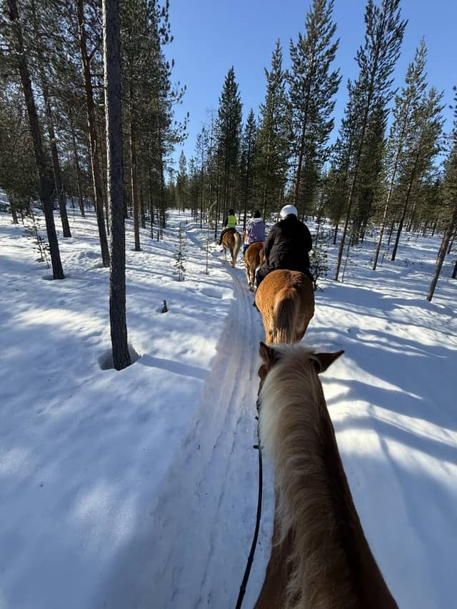 Photo 4 by YICHOU H. (4/6/26)