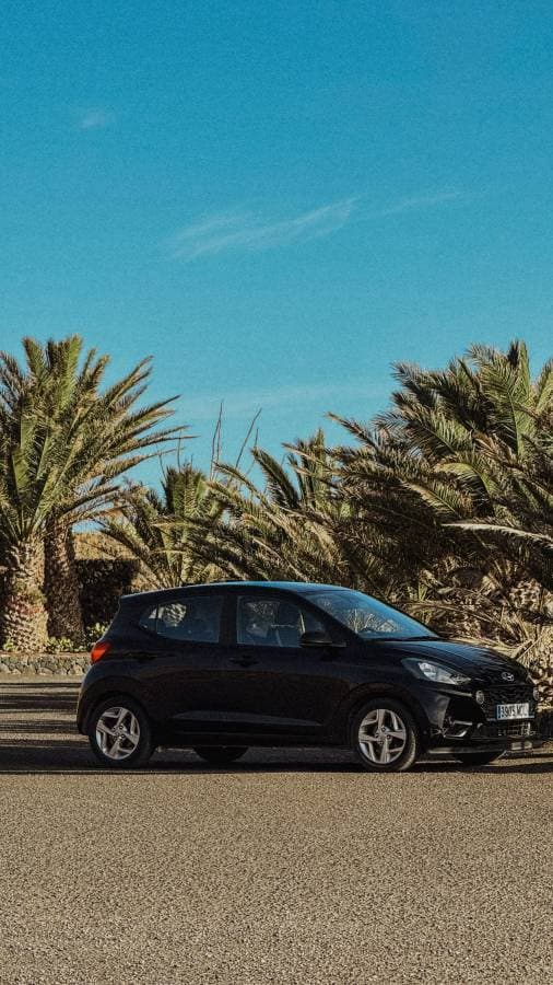 Photo by Stanislav A. (10/30/25)